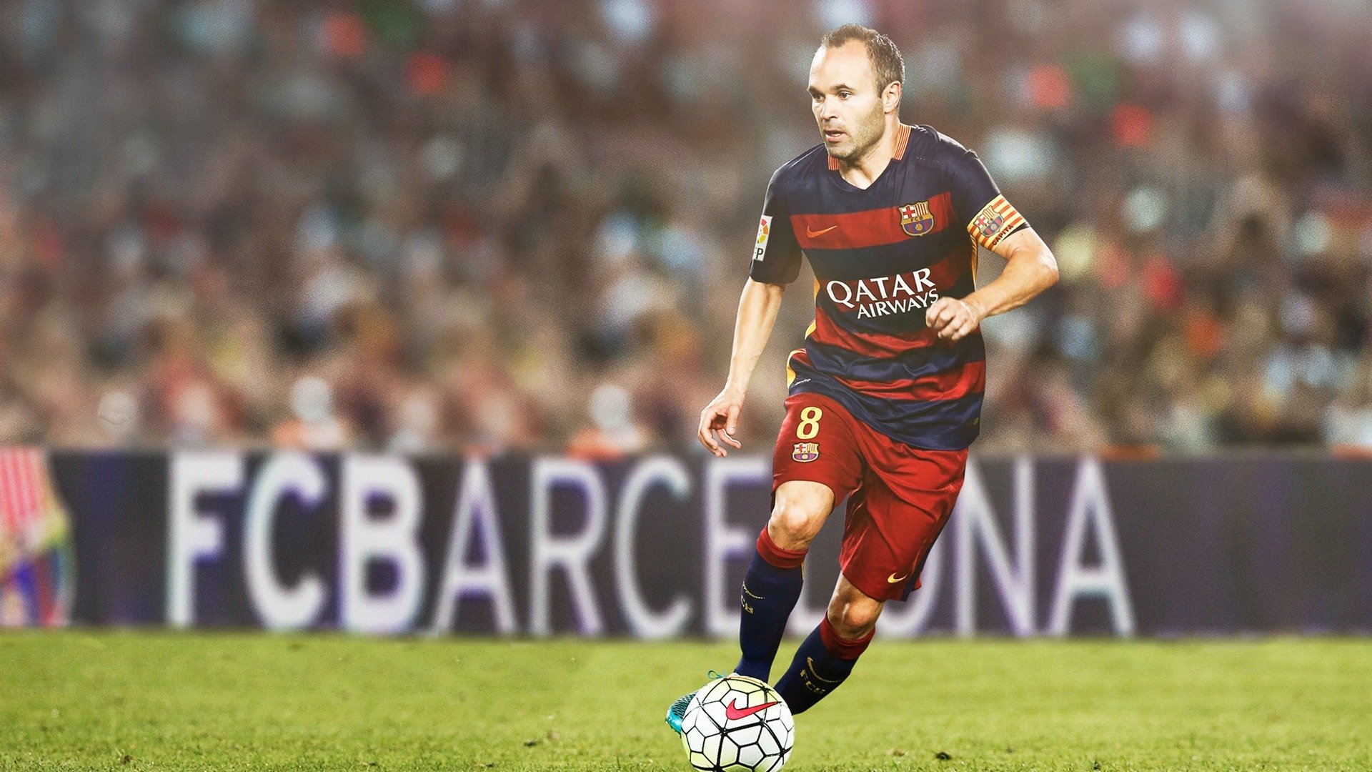 意大利蛙泳代表切拉苏奥洛表现亮眼